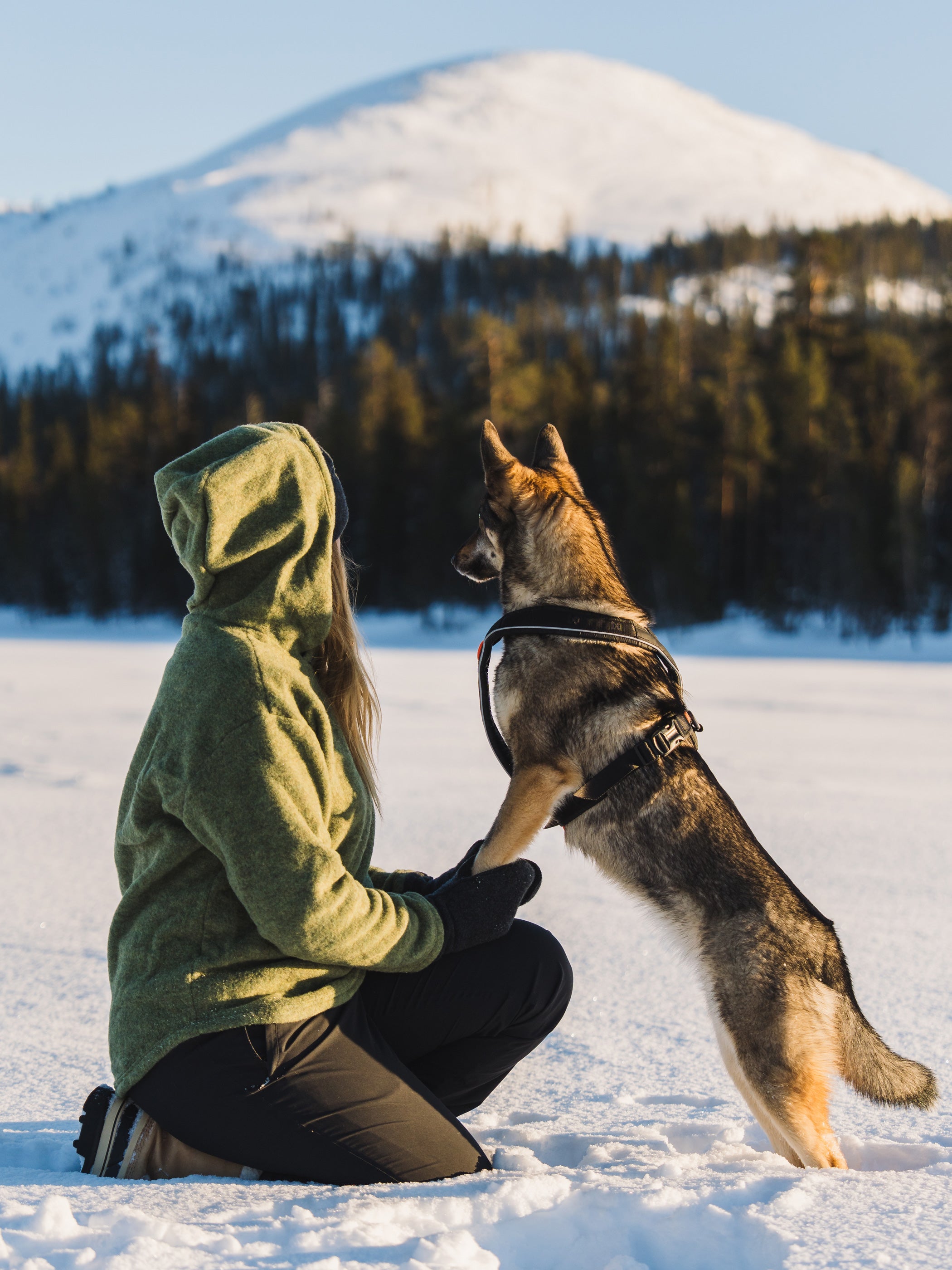 Ruskovilla villafleecehuppari, sammal