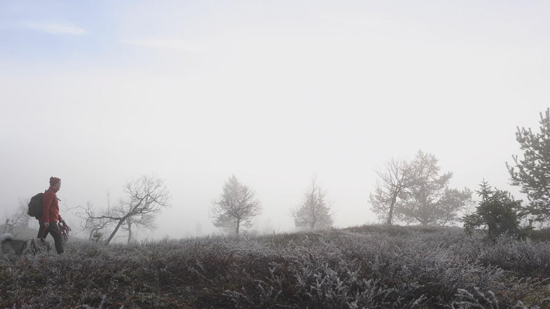 Video hilla-villafleecetakeista